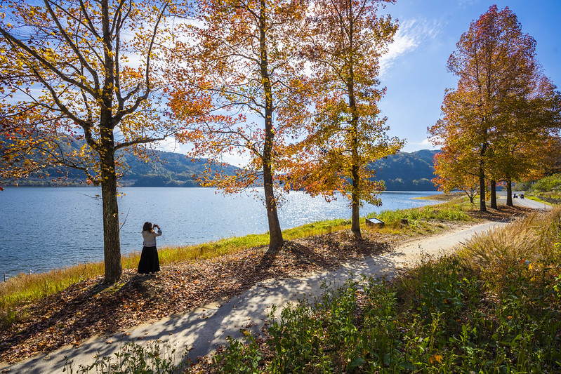 52737735186_4265aafbd6_c