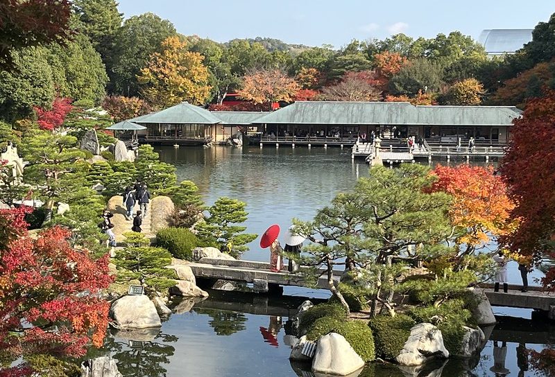 52738057925_941e174d7b_c