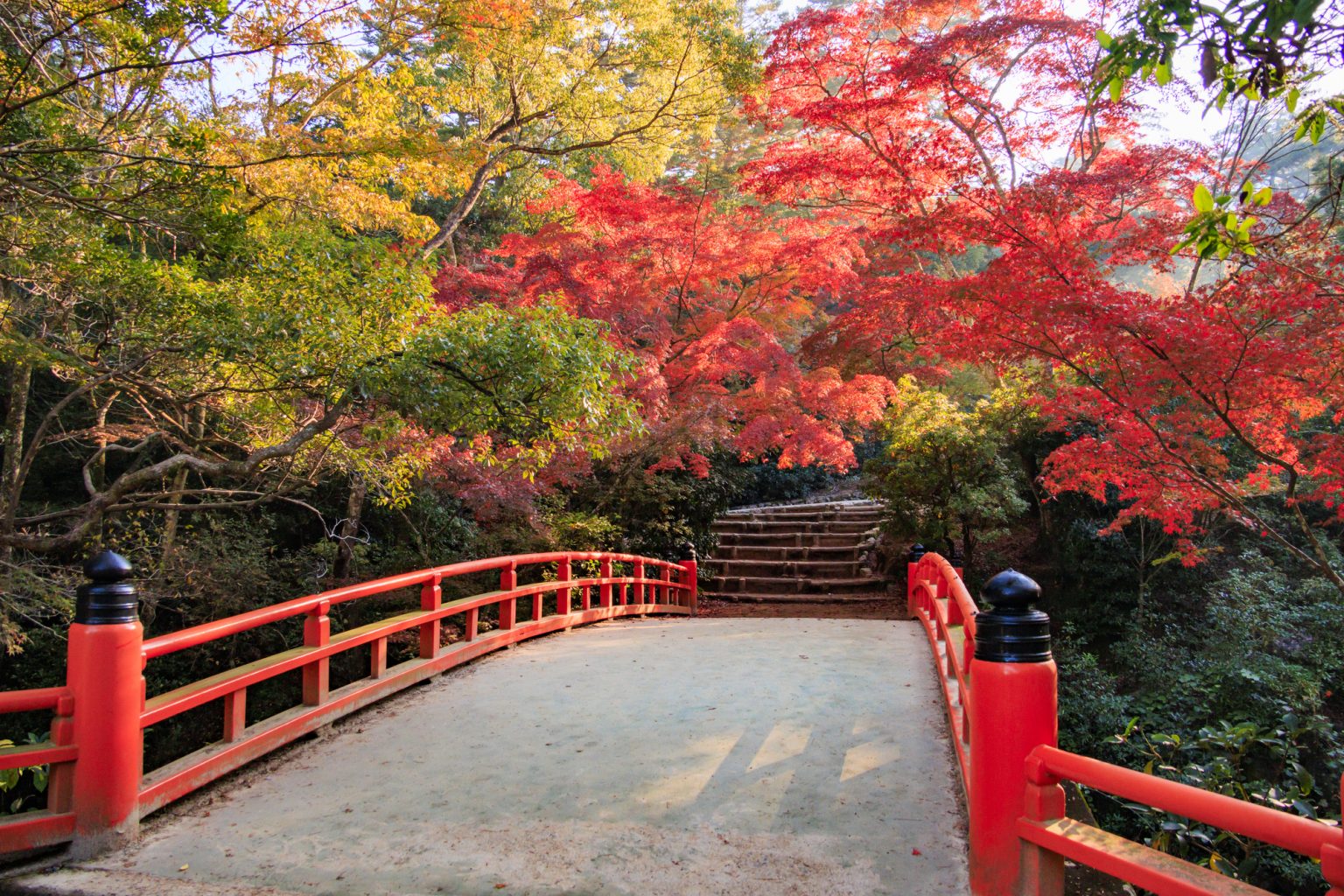 2026年版】広島の紅葉スポットまとめ！定番から穴場までエリア別完全