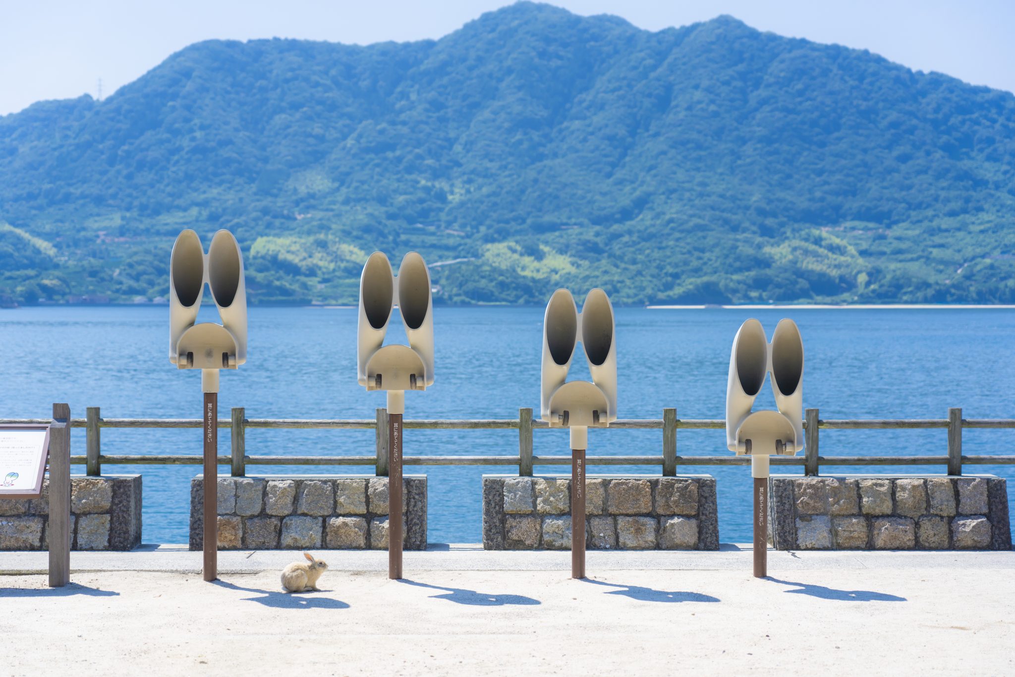 うさぎと触れ合う癒し旅 | 【公式】広島の観光・旅行情報サイト Dive