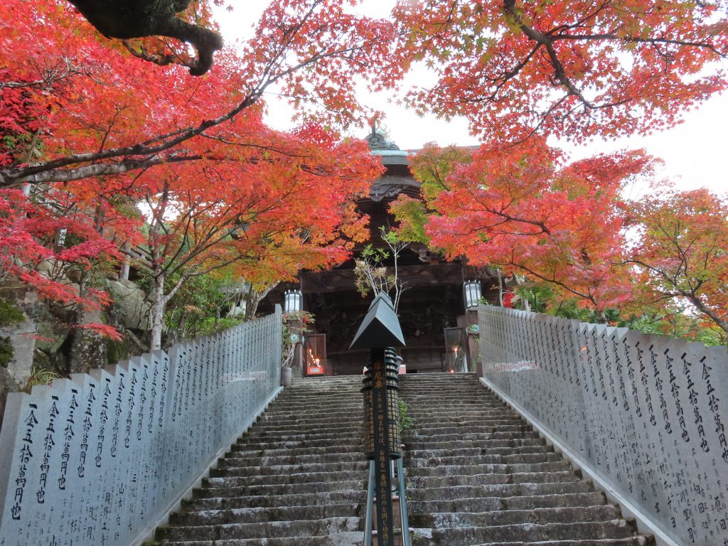 大聖院_摩尼殿参道