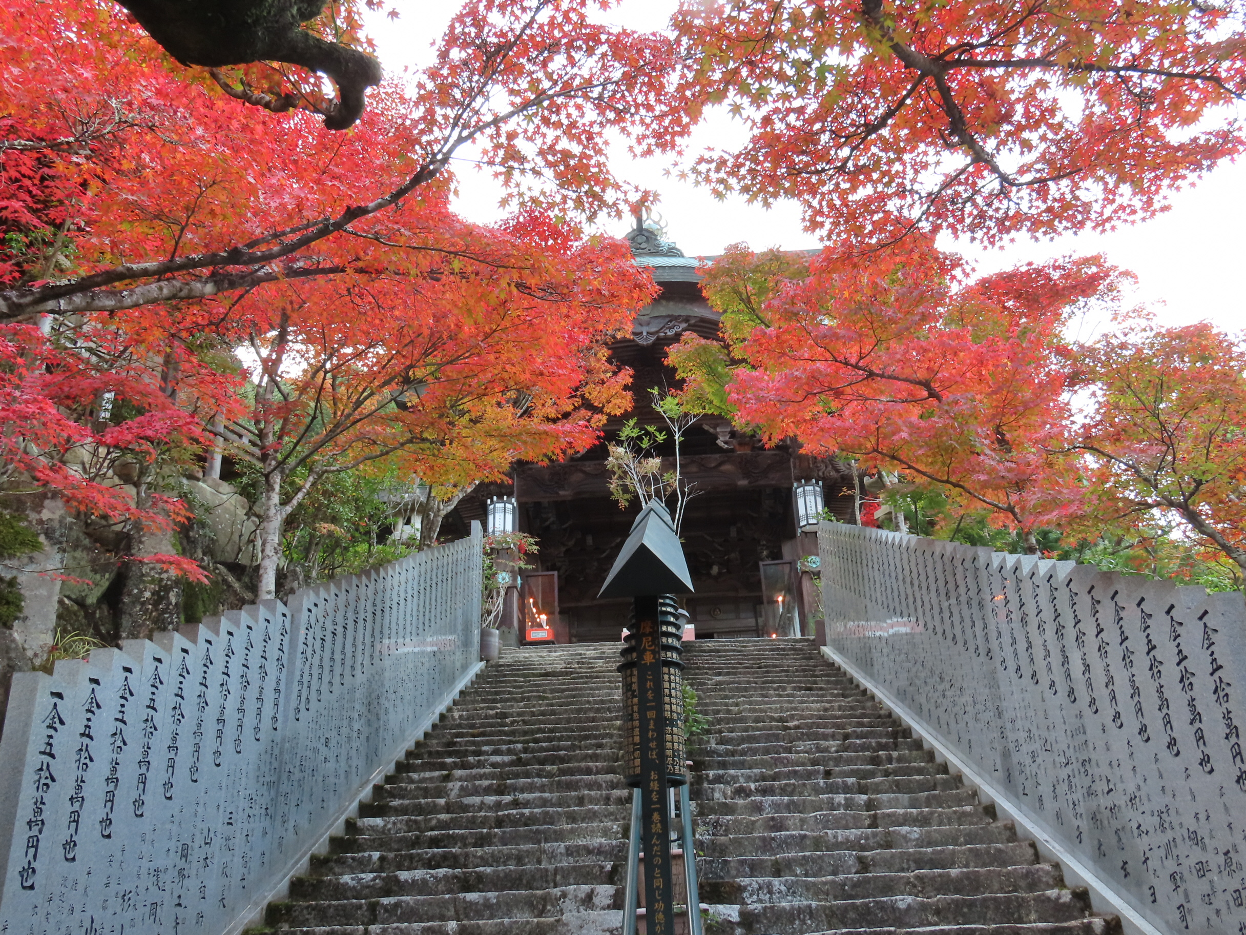 大聖院_摩尼殿参道