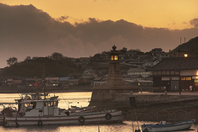 52735126316_f07b0de3bb_c