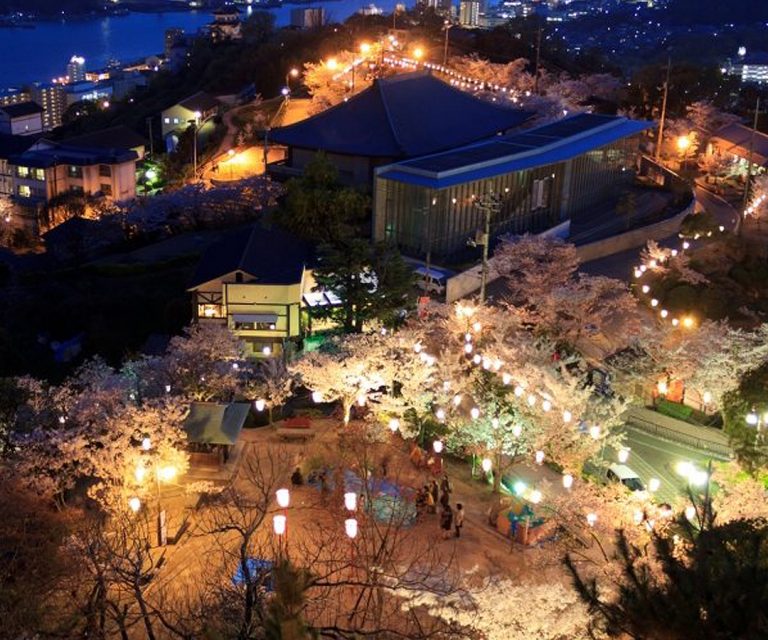 Fantastic night cherry blossoms illuminated by japanese lantern