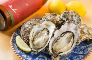 17-10-e1689914226288 (1)