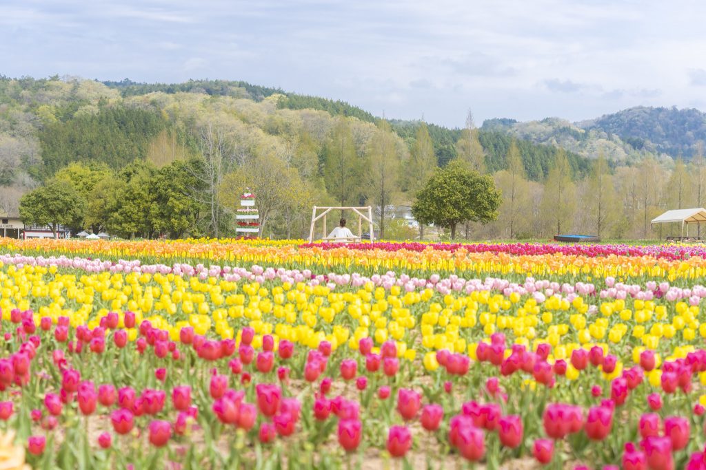 52737214542_6f536978f1_k