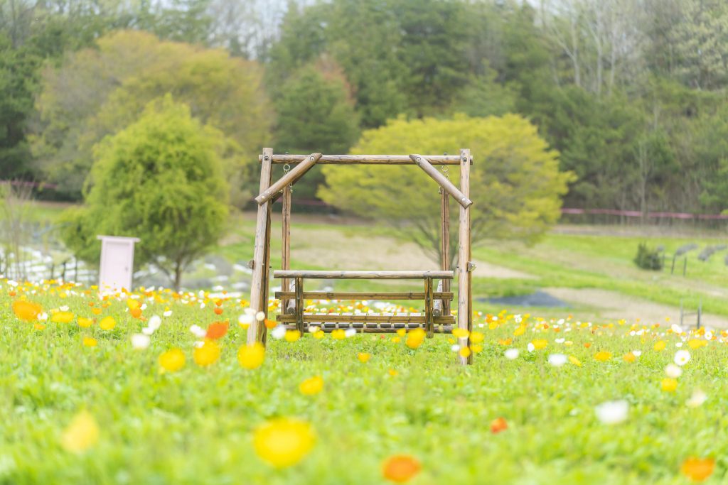 52737988759_29731b7139_k