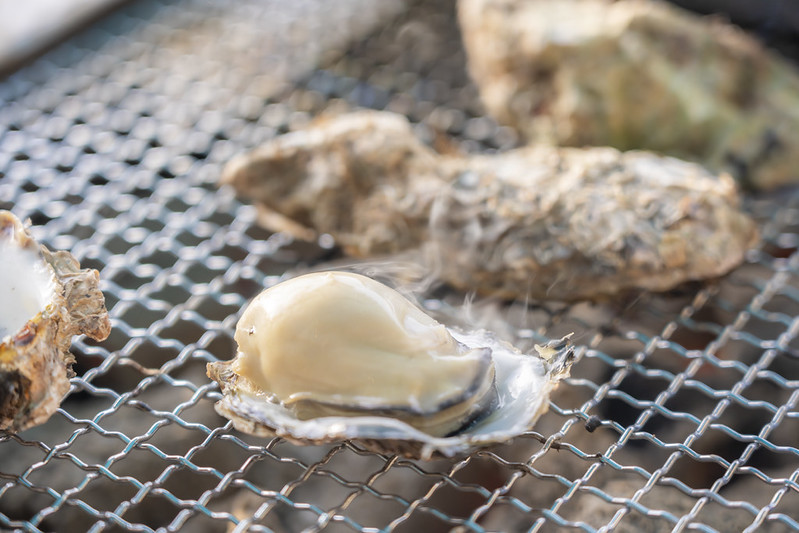 52738296363_2d4cb53ef0_c (1)