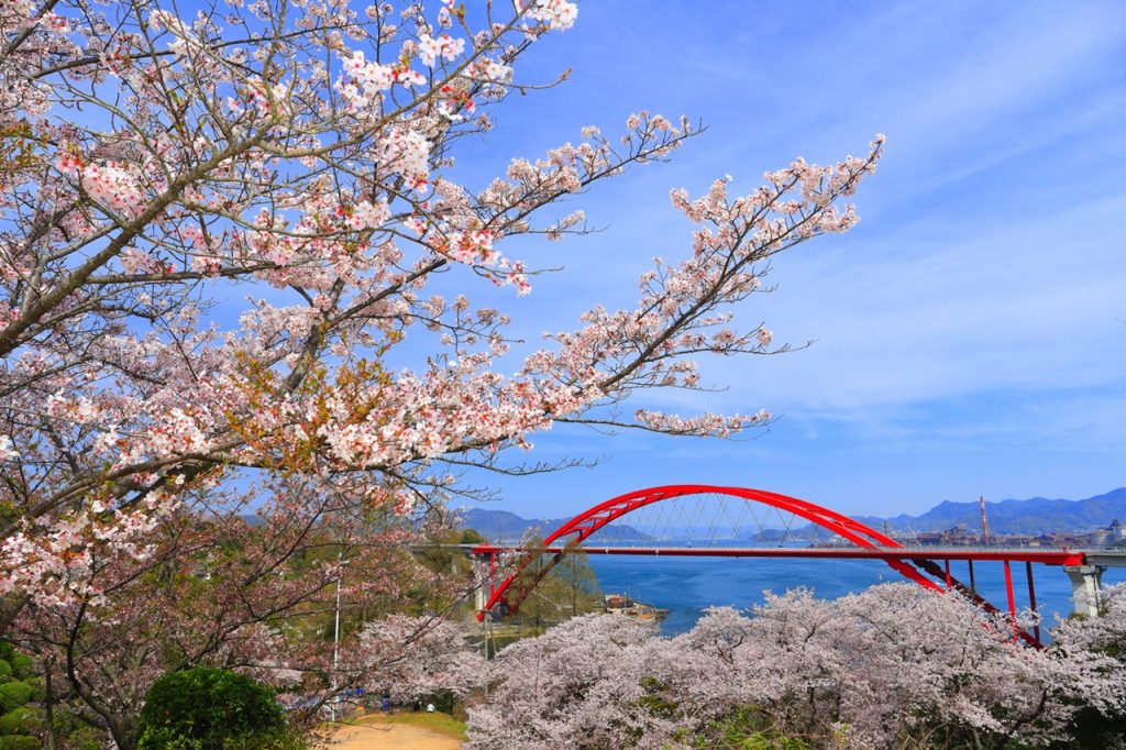 pixta_101635343_M (1) リサイズ