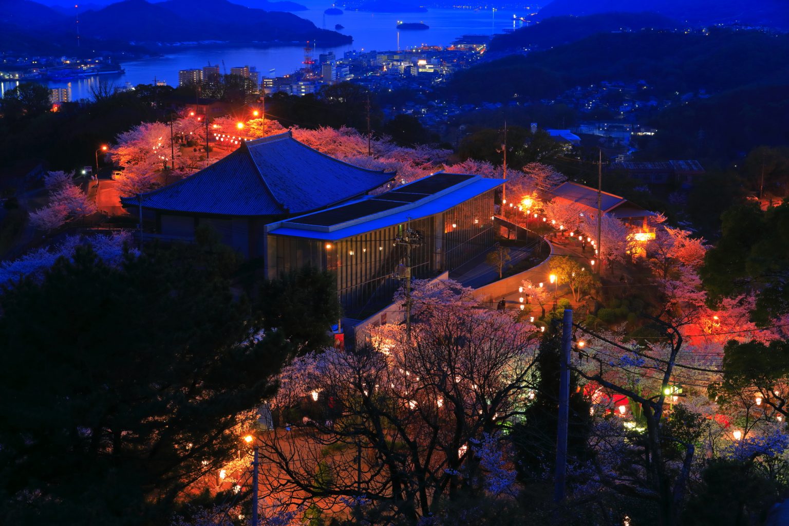 pixta_112757941_M-1536x1024.jpg
