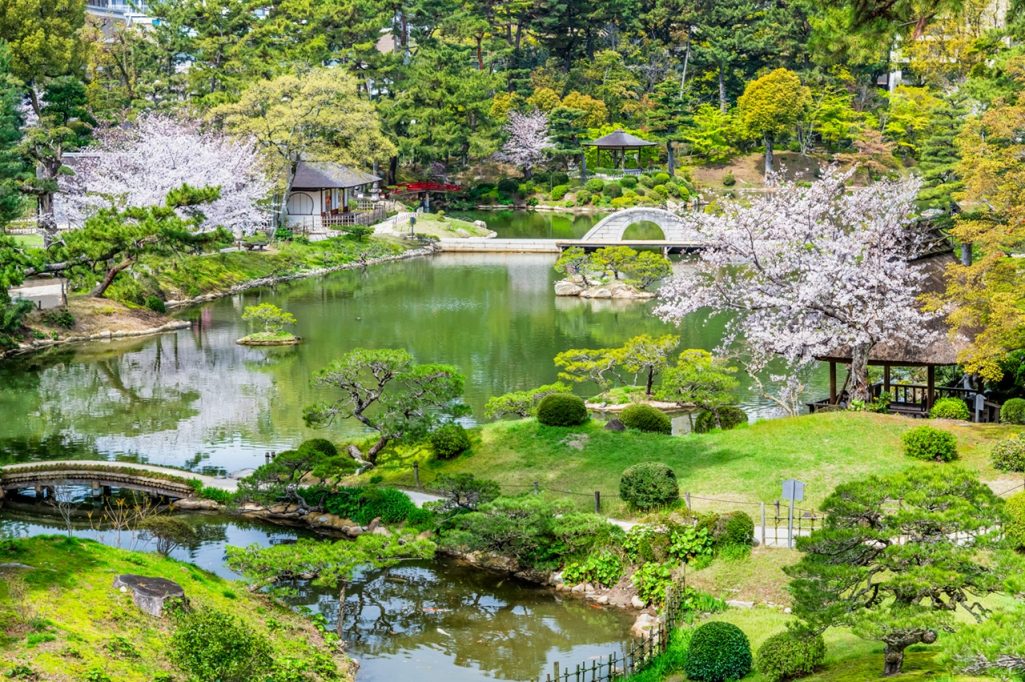 pixta_121154462_M リサイズ