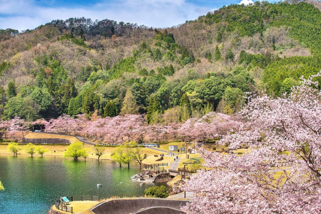 pixta_121932454_M リサイズ