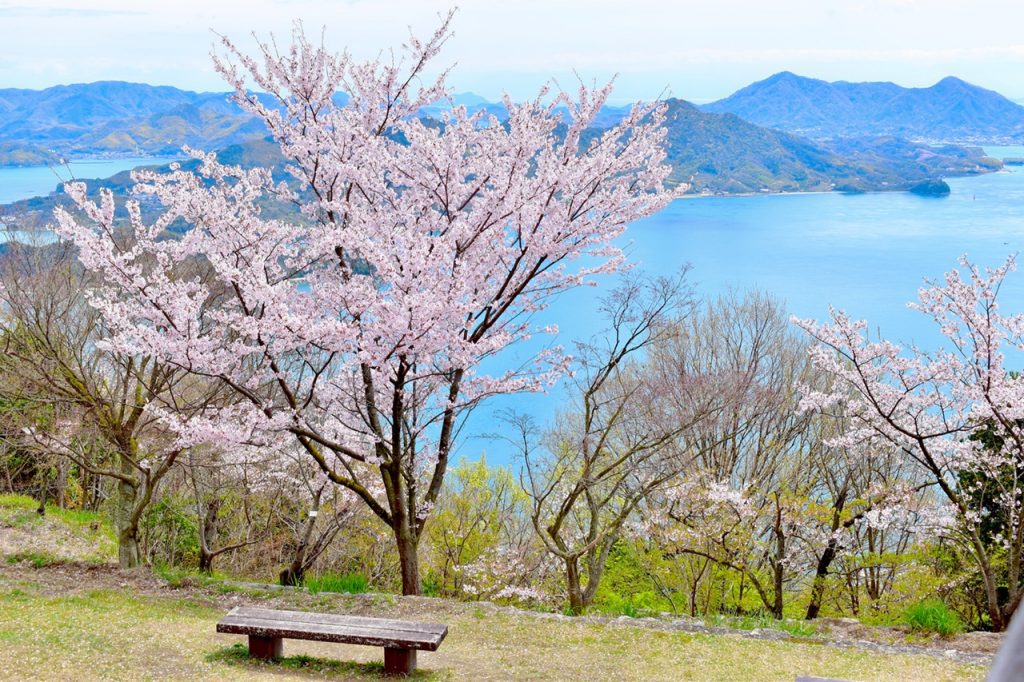 pixta_54338791_M リサイズ