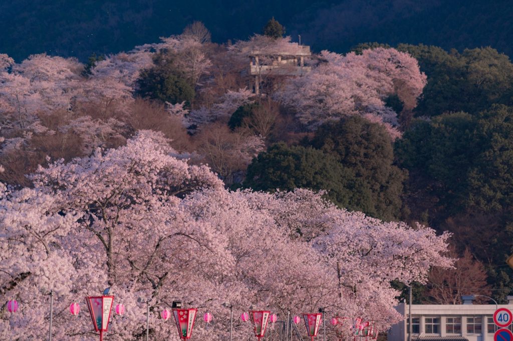 pixta_76307011_M リサイズ