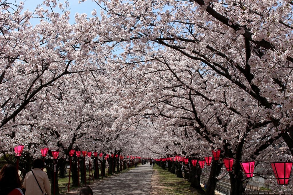 pixta_77465389_M リサイズ