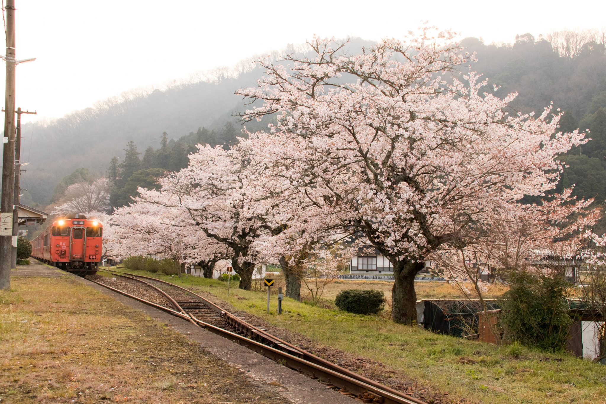 芸備線 行先板 プラサボ JR西日本 国鉄 広島 山口 鉄道部品 方向幕