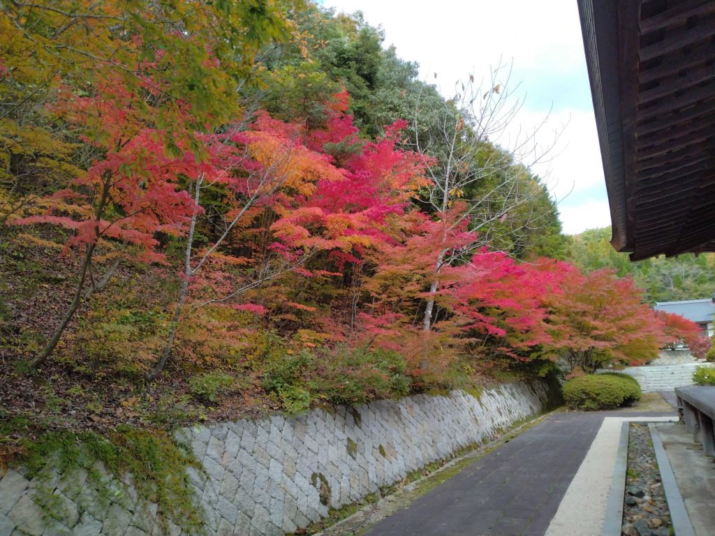 10月29日光信寺 (3)