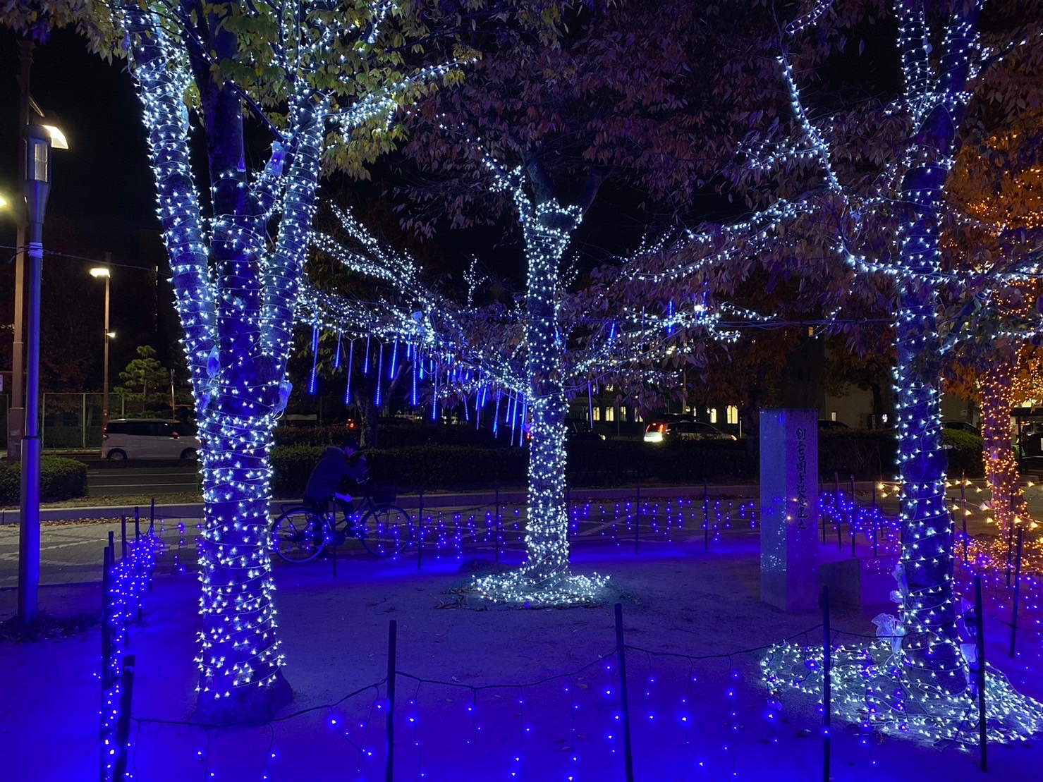 この冬行きたいイルミネーションイベント2025-2026 in 広島広域都市圏