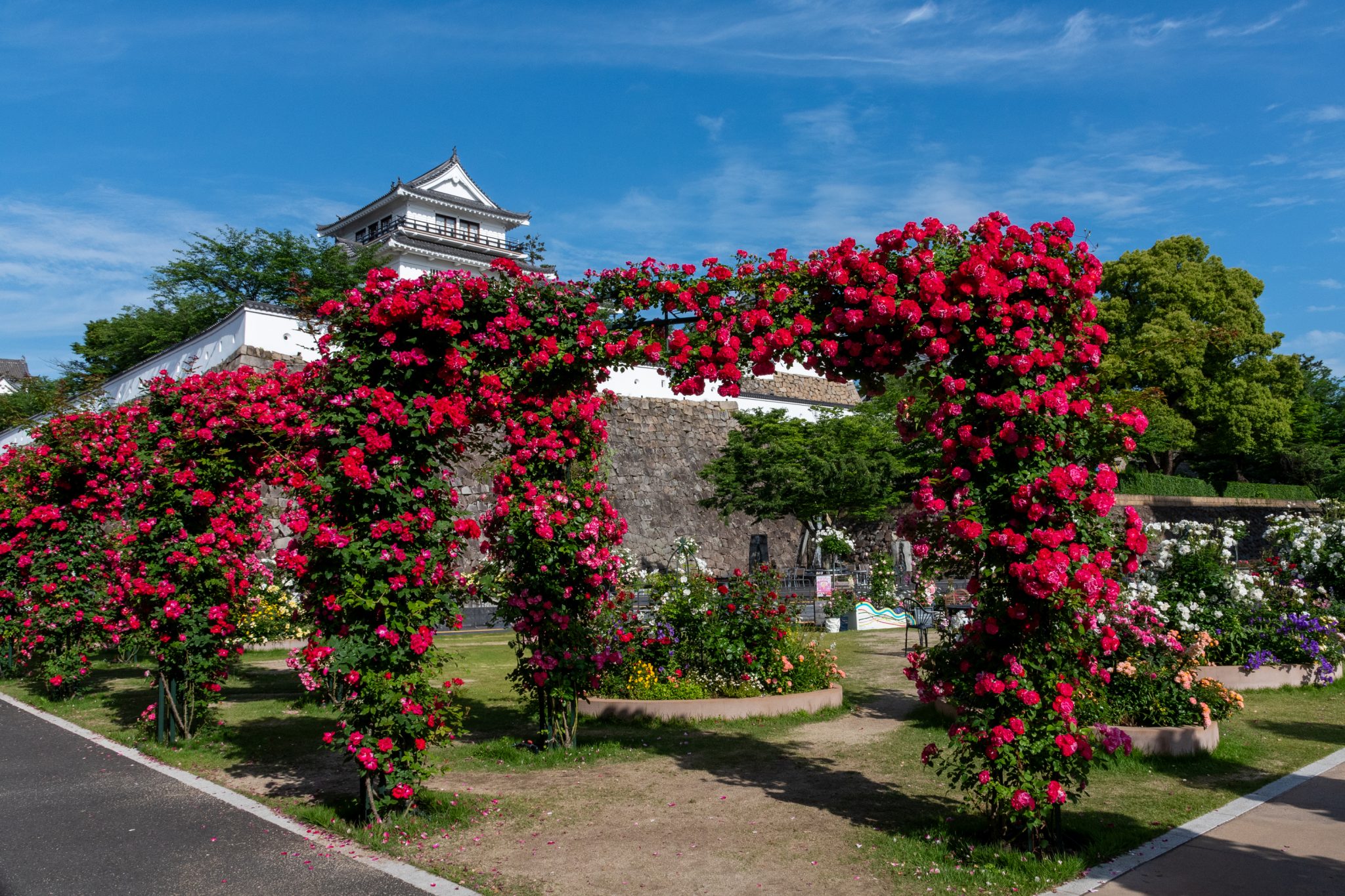 福山版ガーデンツーリズム「ローズマインドに出会う旅」開始