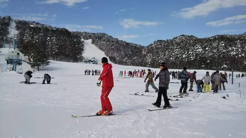 やわたハイランド