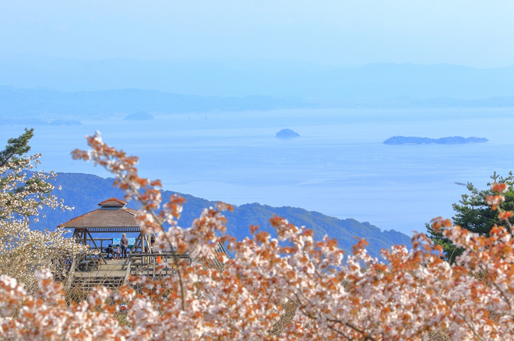 pixta_122453550_M リサイズ