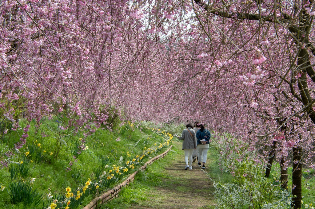 pixta_86473114_M リサイズ