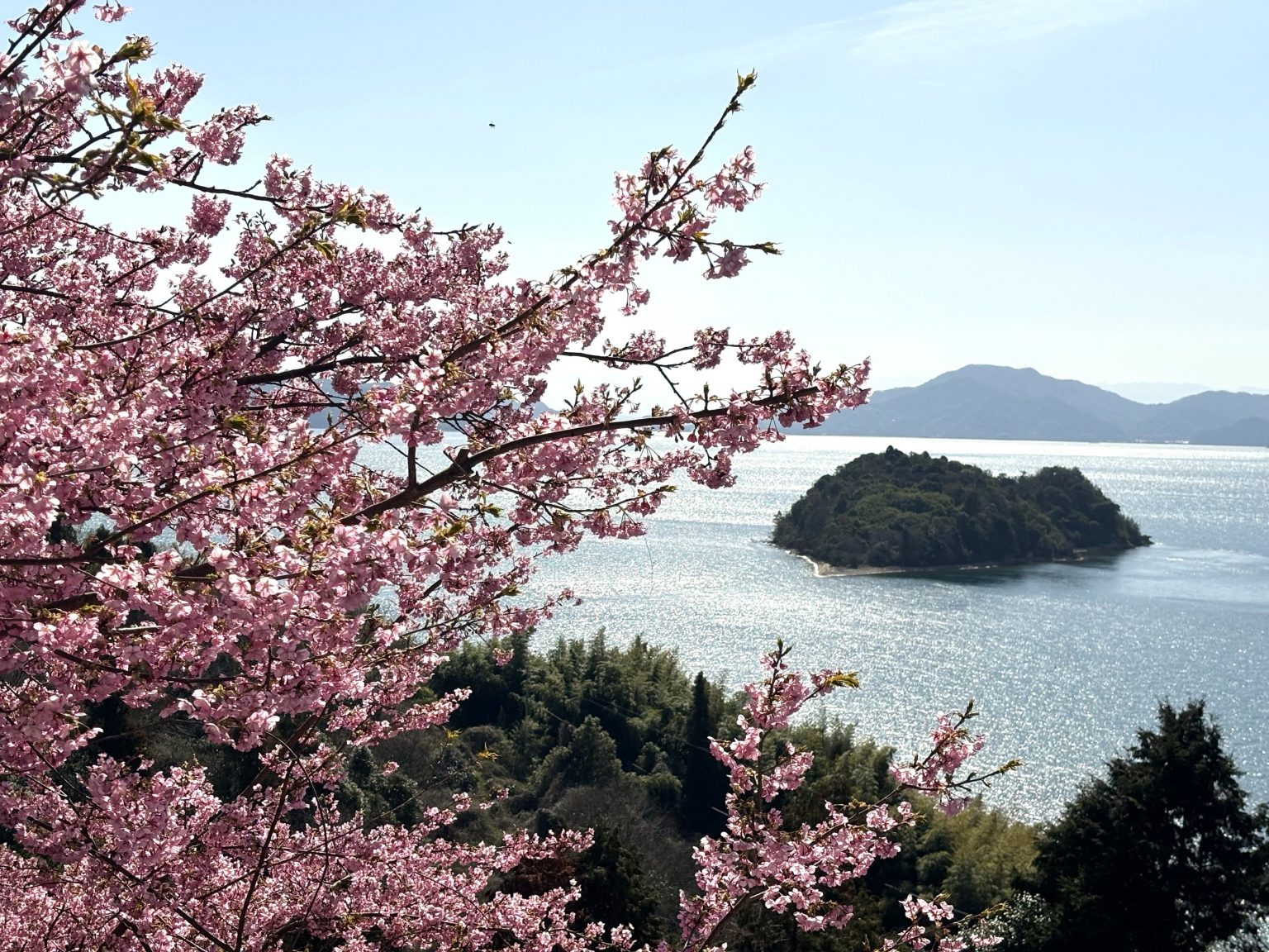 HIT編集部】瀬戸内の島々で桜を満喫！広島のおすすめ花見スポット