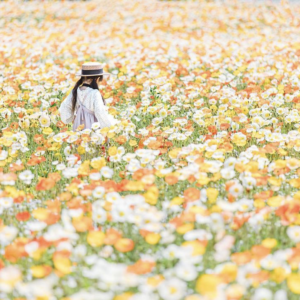 e5e2b08b6afab8fa44f770795e269fcf-300x300