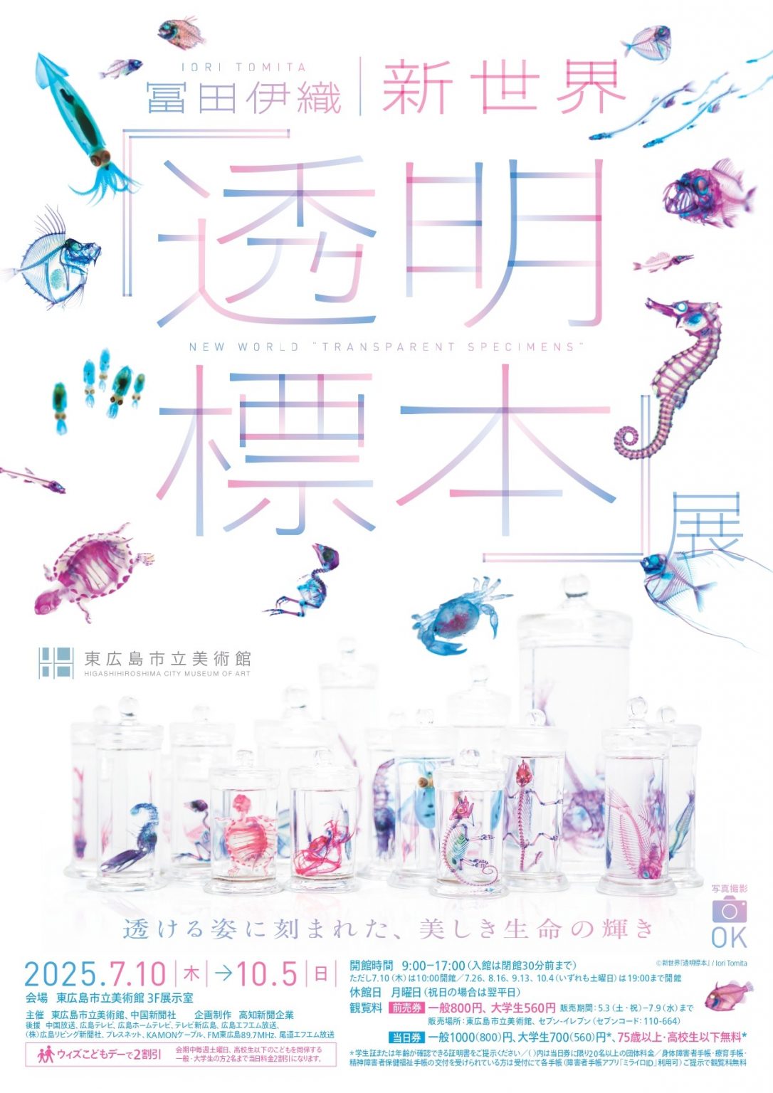 特別展「冨田伊織 新世界『透明標本』展」 | 【公式】広島の観光