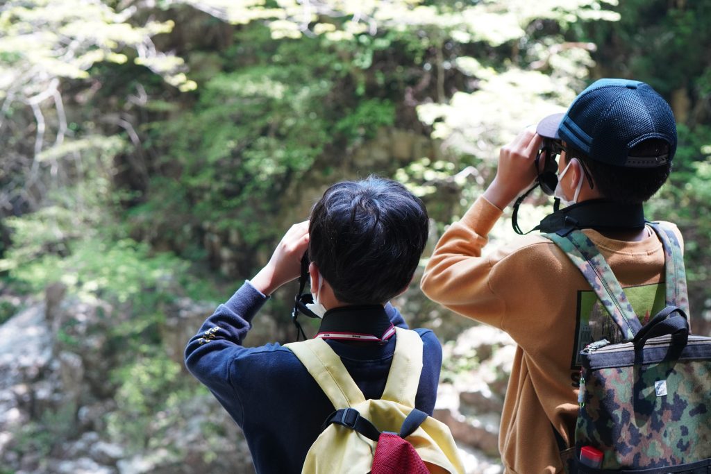 秋の自然体験_三段峡野外博物館ミュージアムツアー②_PDB