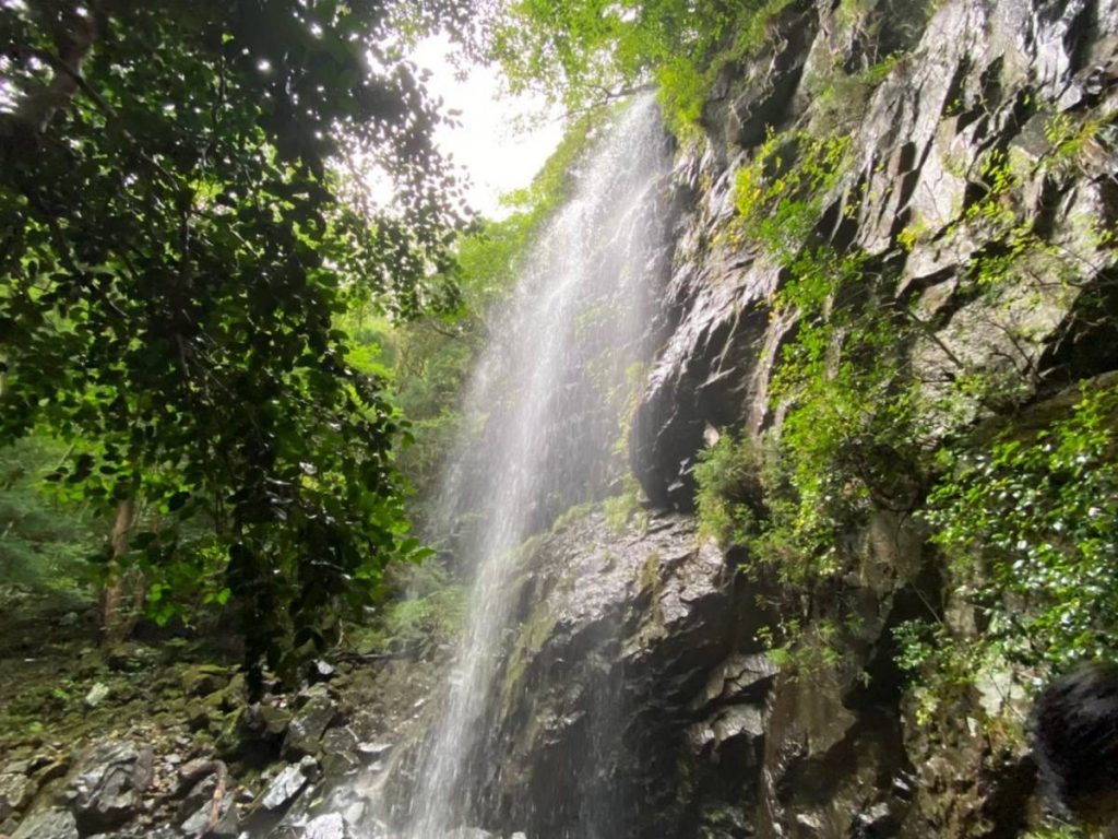 Image-1
