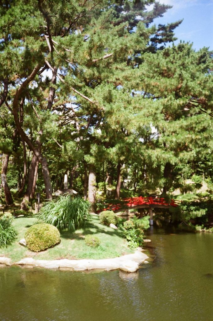 縮景園③