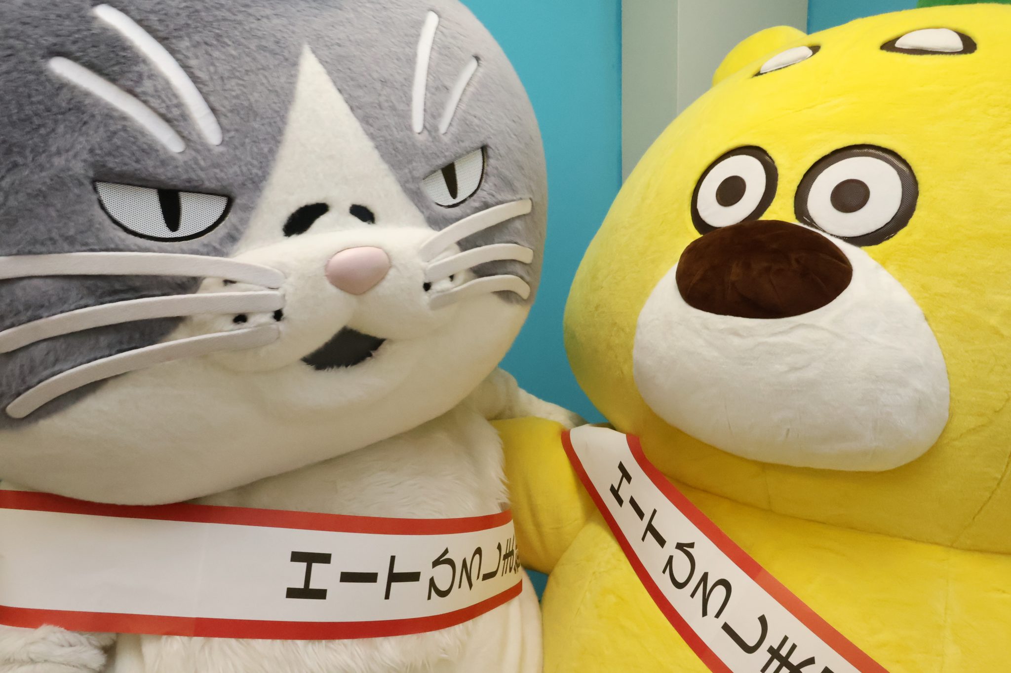 1940〜50s ニッカーボッカー　猫　Kitty Kuddles 超美品 かなしきデブ猫ちゃん」の主人公のマルを「HITひろしま観光大使」に