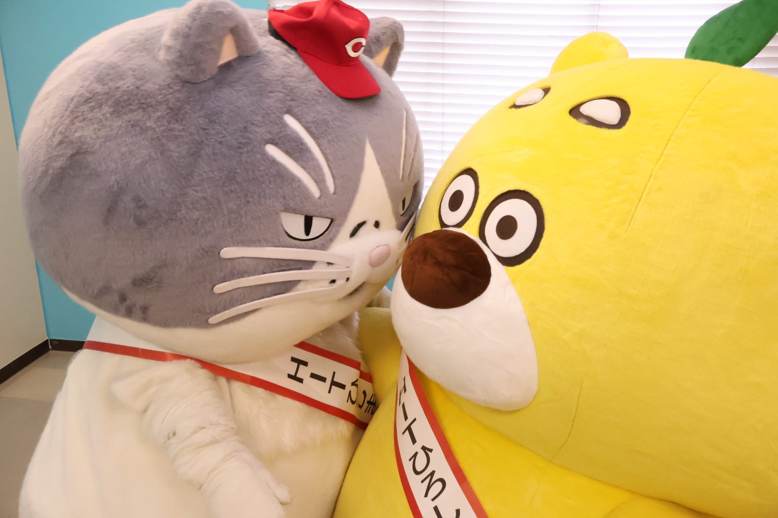 かなしきデブ猫ちゃん」の主人公のマルを「HITひろしま観光大使」に