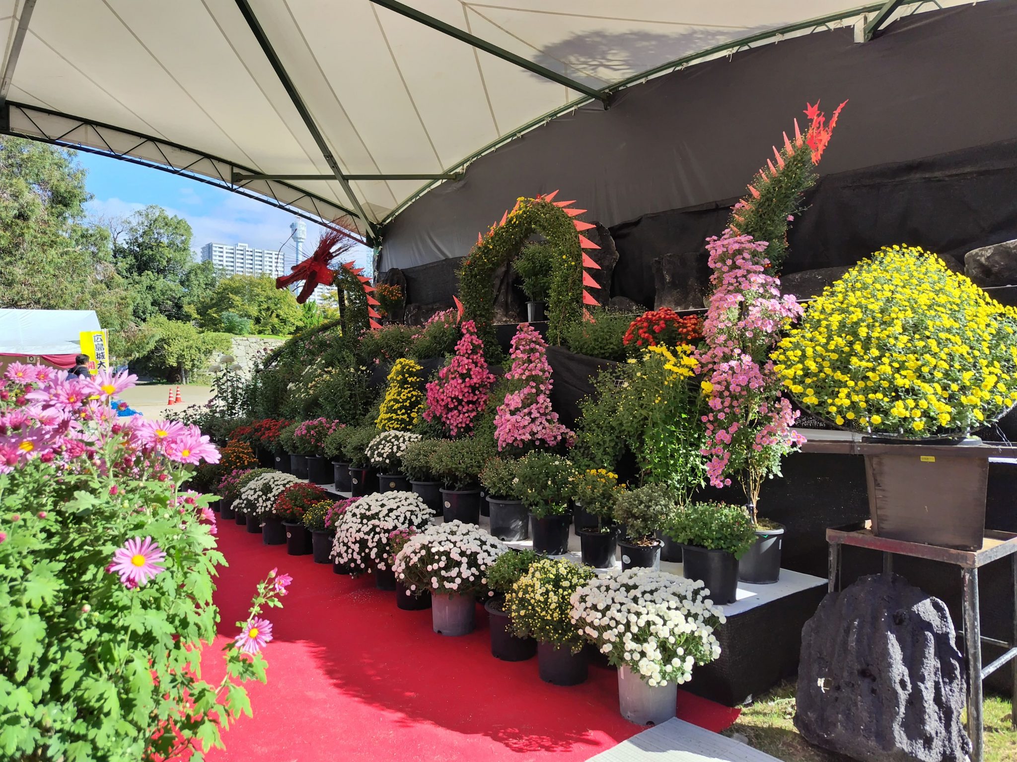 光の花石❇️希少 イジェン産 クォーツ フラワークラスター 大 広島城大菊花展 | 【公式】広島の観光・旅行情報サイト Dive! Hiroshima