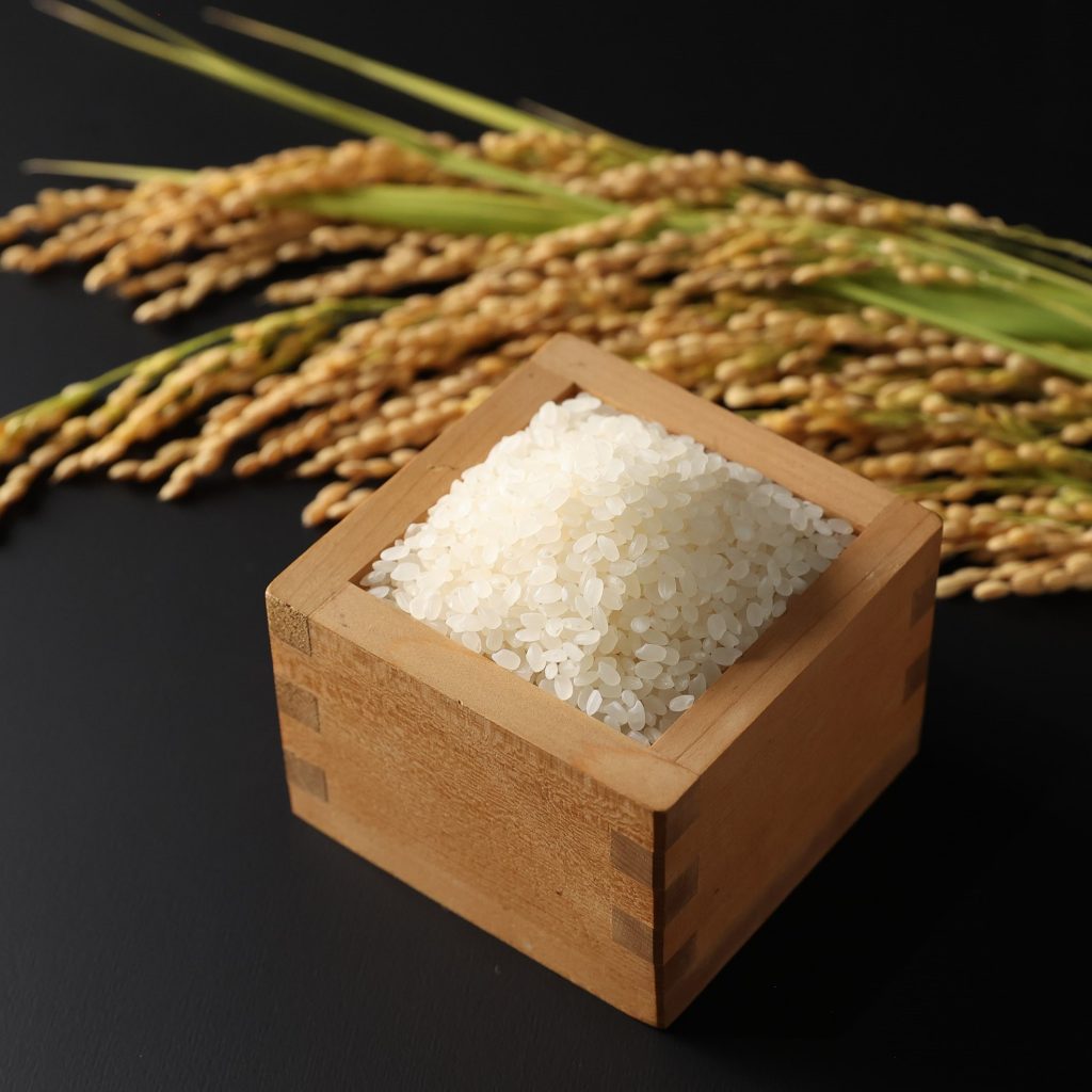 飯南米