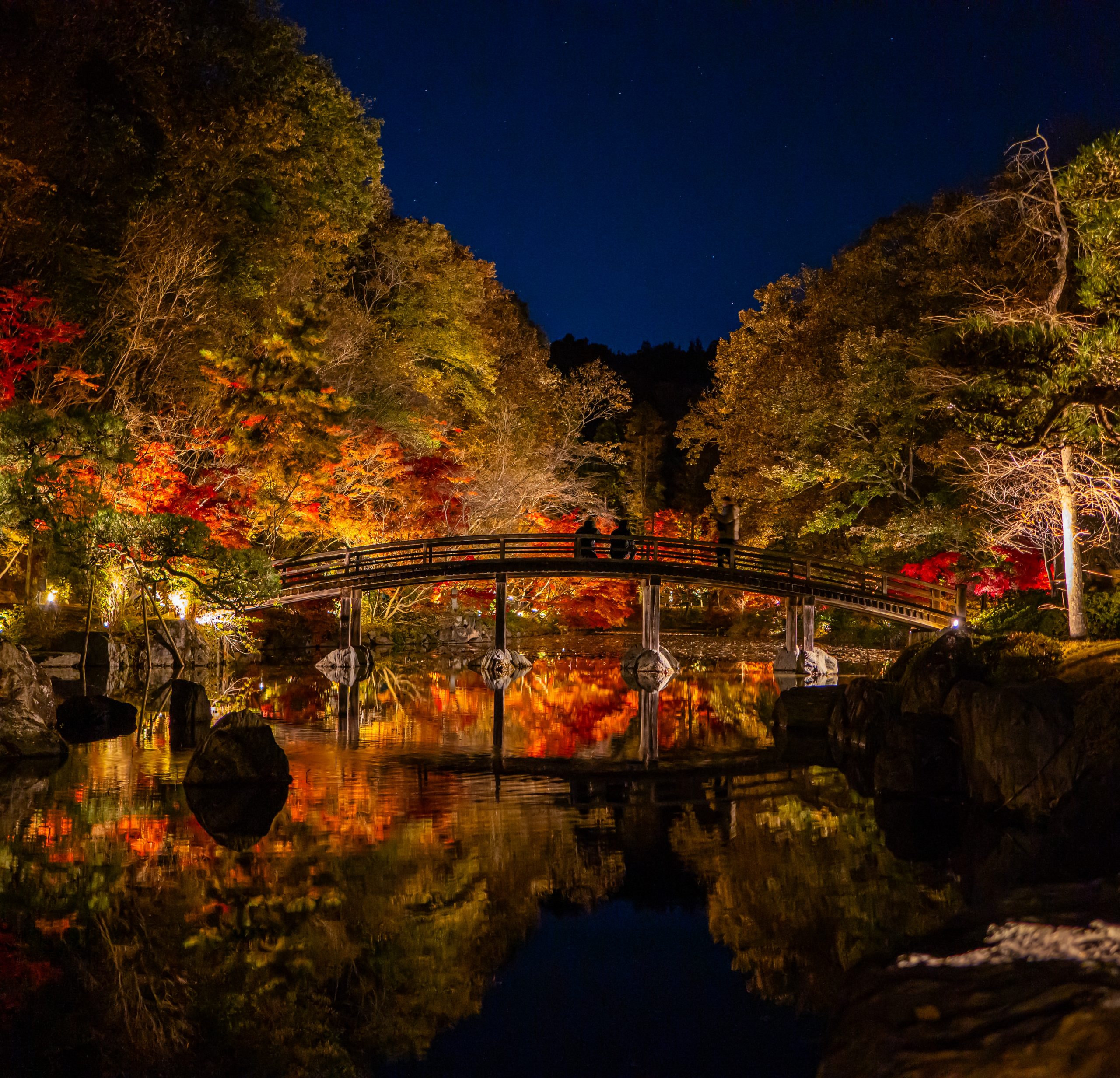 神勝寺20241130-36