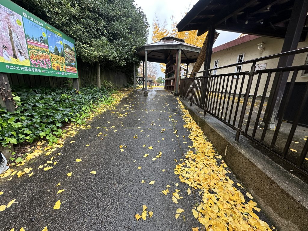 3,地形の特性上、坂があります3,IMG_7762