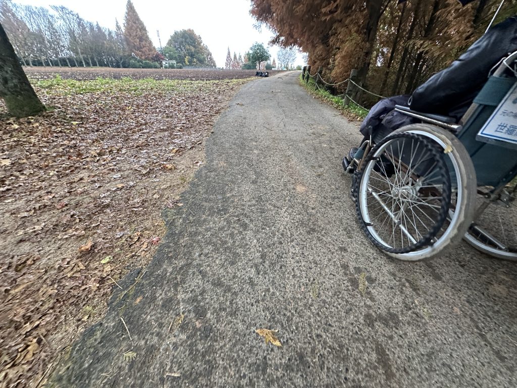 4舗装されている道,IMG_7772