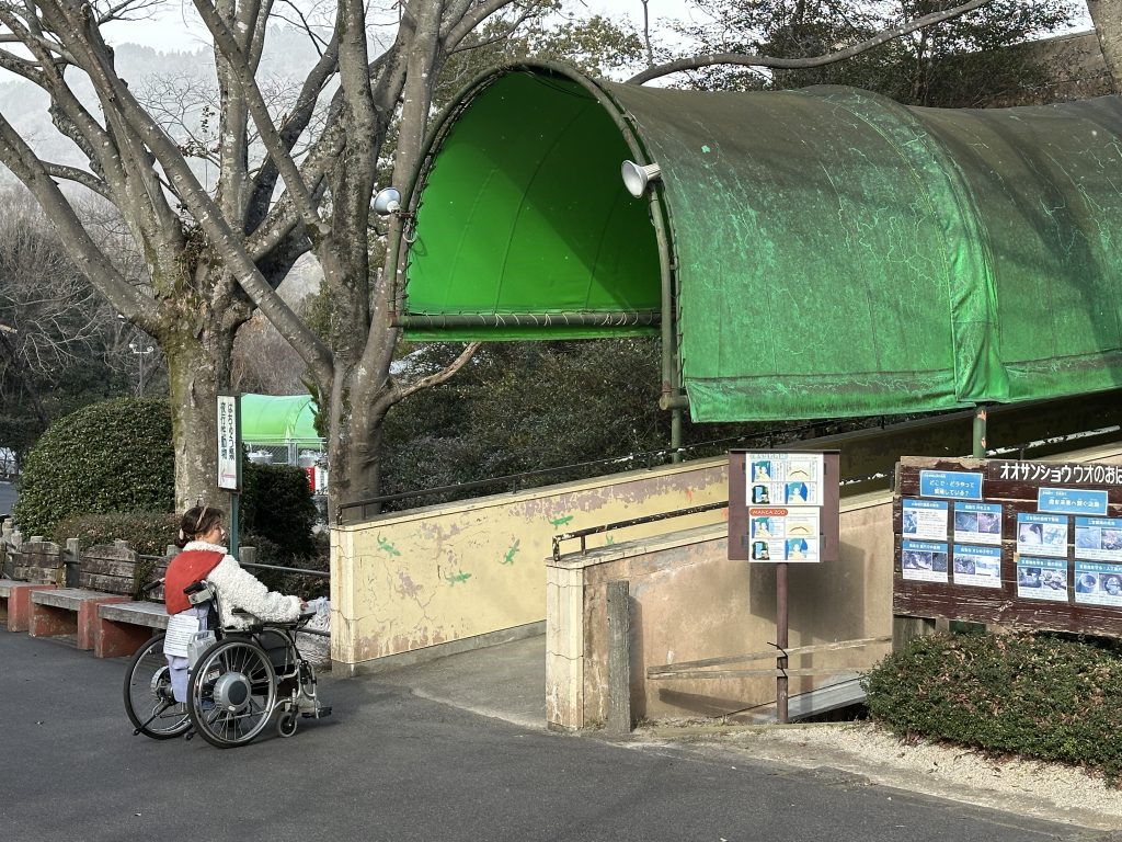 はちゅうるい館（２階へのアプローチ）