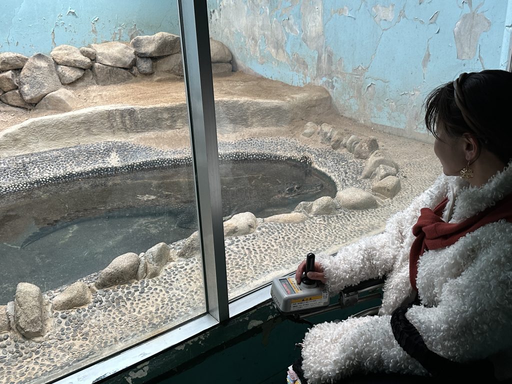 はちゅうるい館（２階）