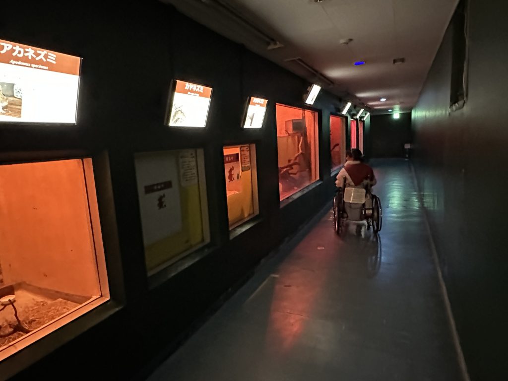 はちゅうるい館１階館内