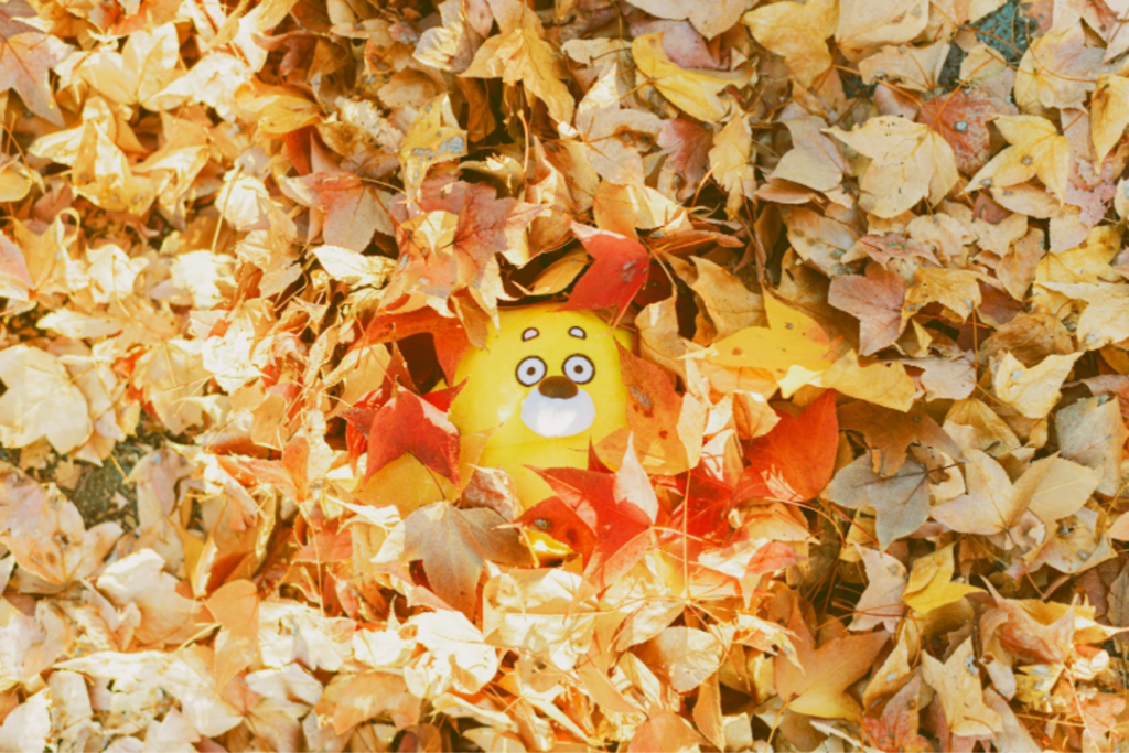 ひろくま旅_紅葉