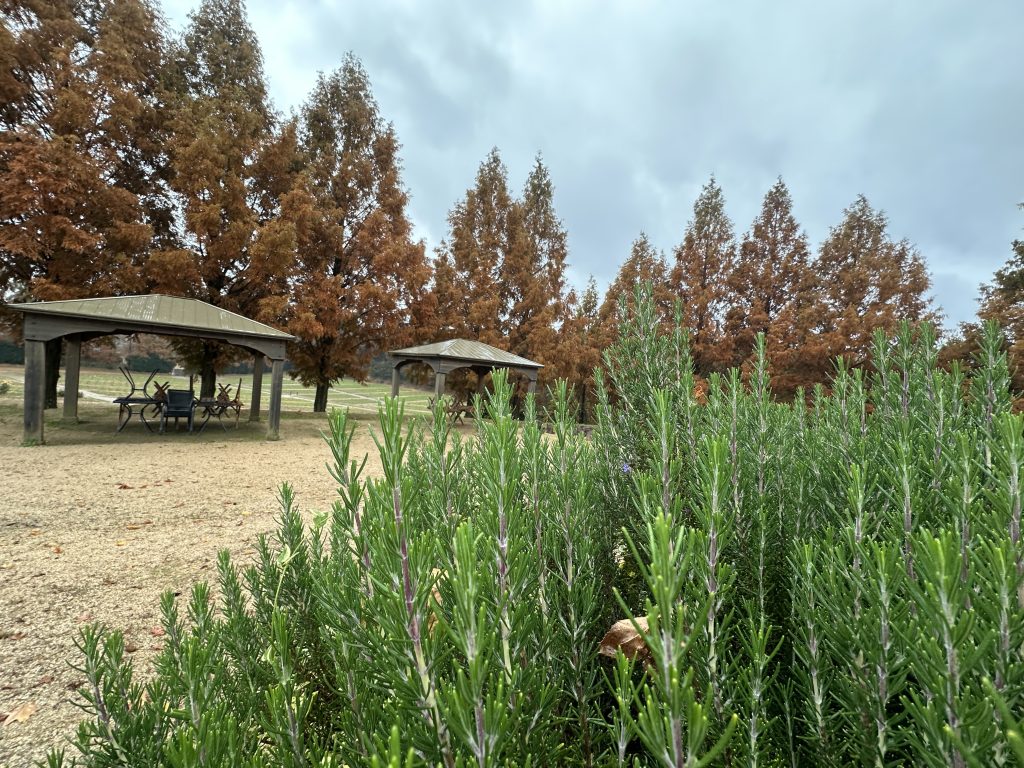 ピクニックもＯＫ！世羅高原農場