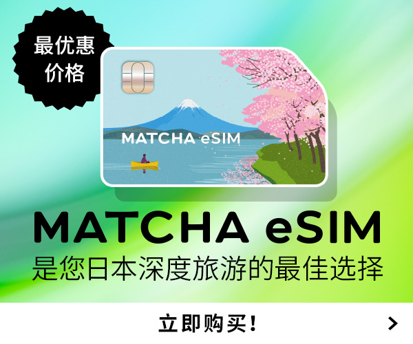 eSIM簡体字・300x250_cn@2x