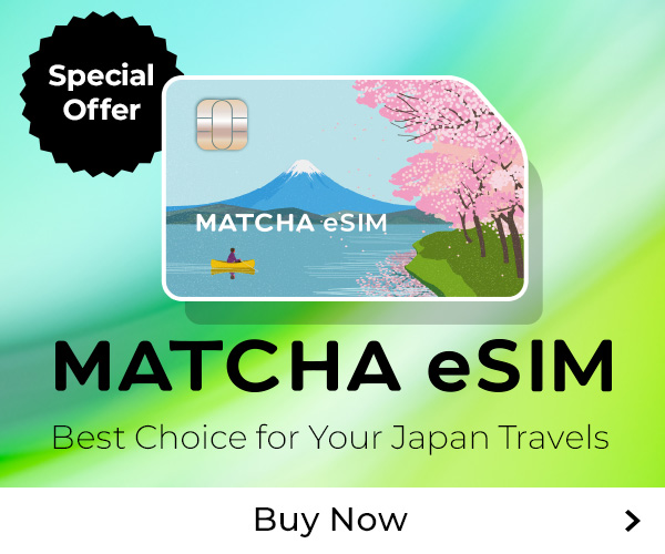 eSIM英語・300x250_en_02@2x