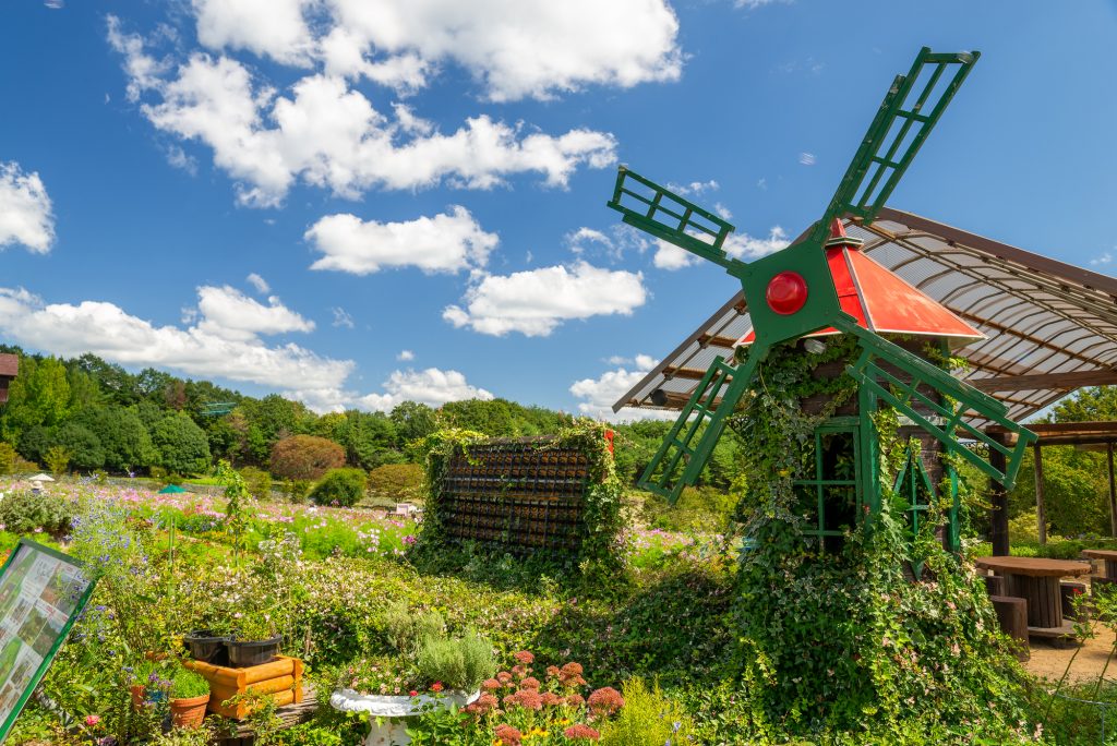 pixta_107245492_M (1)