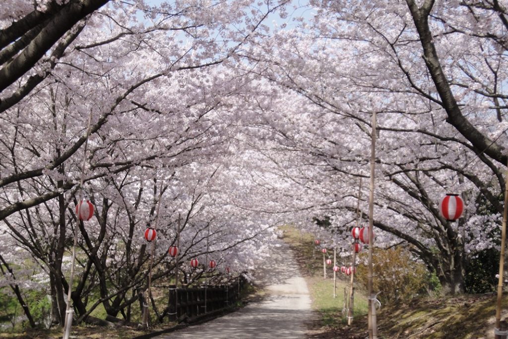 宮山中公園１ 登録用