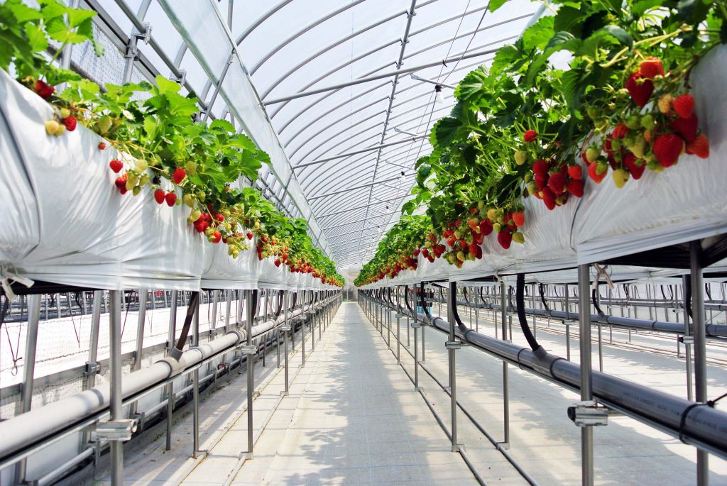 330007豊平どんぐり農園_DSC_0283