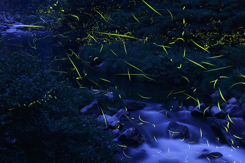 482027743_1039187908245010_7087395565696768392_n